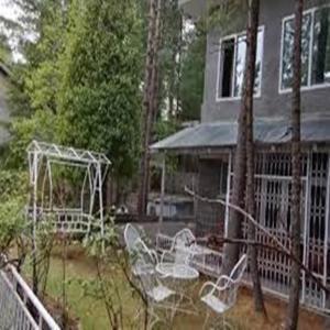 Pinetree Resort Nathiagali Nathia Gali Kültér fotó